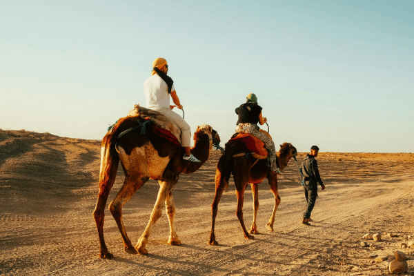 Ladja s steklenim dnom